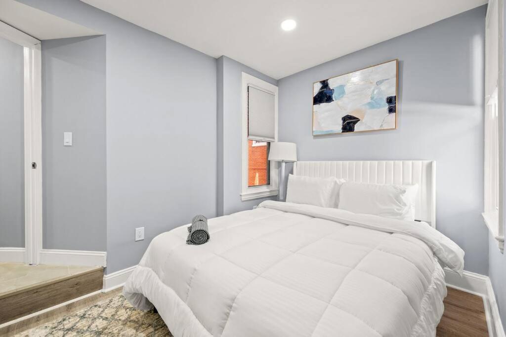 New! Cozy Apt In Center City! Philadelphia Buitenkant foto